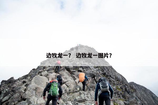 边牧龙一？ 边牧龙一图片？