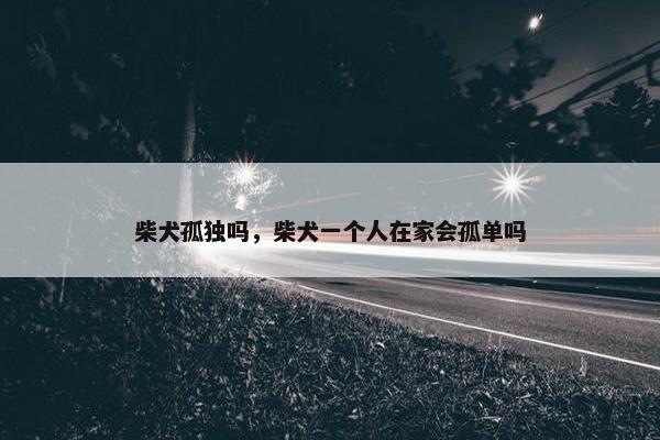 柴犬孤独吗，柴犬一个人在家会孤单吗