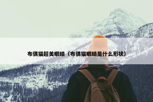 布偶猫超美眼睛（布偶猫眼睛是什么形状）