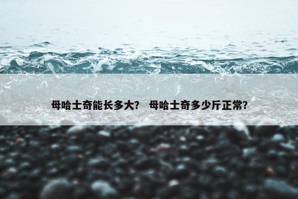 母哈士奇能长多大？ 母哈士奇多少斤正常？
