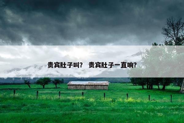 贵宾肚子叫？ 贵宾肚子一直响？