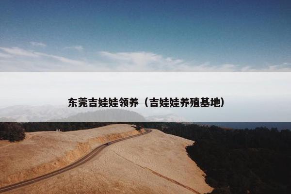 东莞吉娃娃领养（吉娃娃养殖基地）