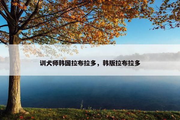训犬师韩国拉布拉多，韩版拉布拉多