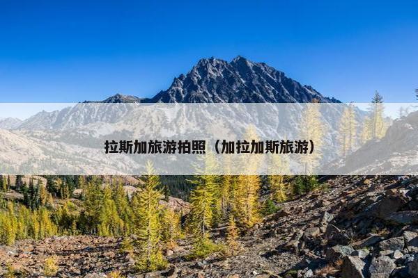 拉斯加旅游拍照（加拉加斯旅游）