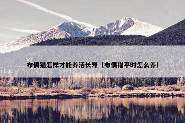 布偶猫怎样才能养活长寿（布偶猫平时怎么养）