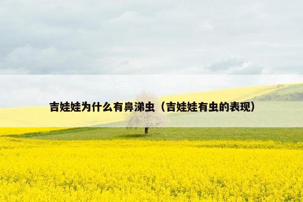 吉娃娃为什么有鼻涕虫（吉娃娃有虫的表现）