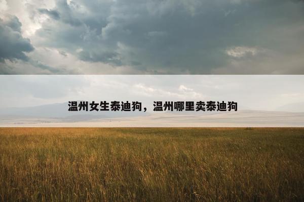 温州女生泰迪狗，温州哪里卖泰迪狗