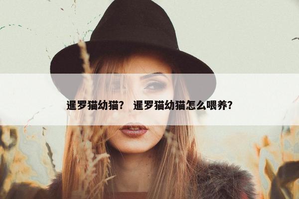 暹罗猫幼猫？ 暹罗猫幼猫怎么喂养？
