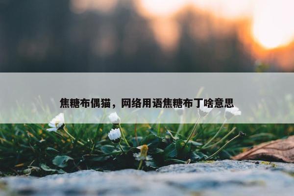 焦糖布偶猫，网络用语焦糖布丁啥意思
