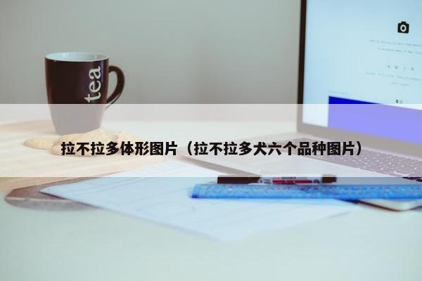 拉不拉多体形图片（拉不拉多犬六个品种图片）