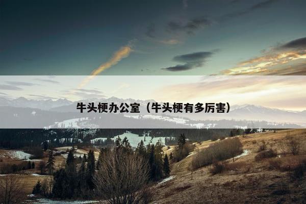 牛头梗办公室（牛头梗有多厉害）