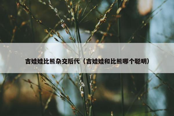 吉娃娃比熊杂交后代（吉娃娃和比熊哪个聪明）