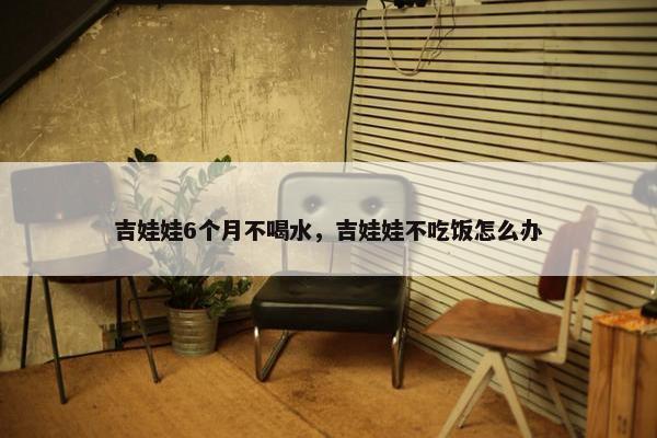吉娃娃6个月不喝水，吉娃娃不吃饭怎么办
