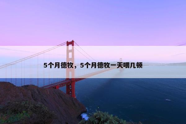 5个月德牧，5个月德牧一天喂几顿