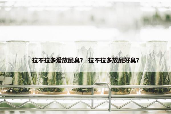 拉不拉多爱放屁臭？ 拉不拉多放屁好臭？