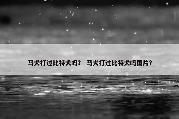 马犬打过比特犬吗？ 马犬打过比特犬吗图片？