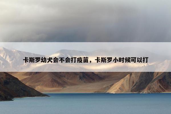 卡斯罗幼犬会不会打疫苗，卡斯罗小时候可以打