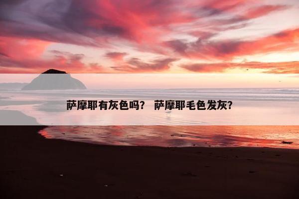 萨摩耶有灰色吗？ 萨摩耶毛色发灰？
