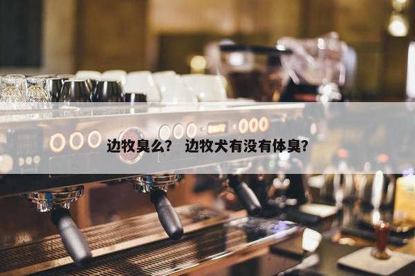 边牧臭么？ 边牧犬有没有体臭？