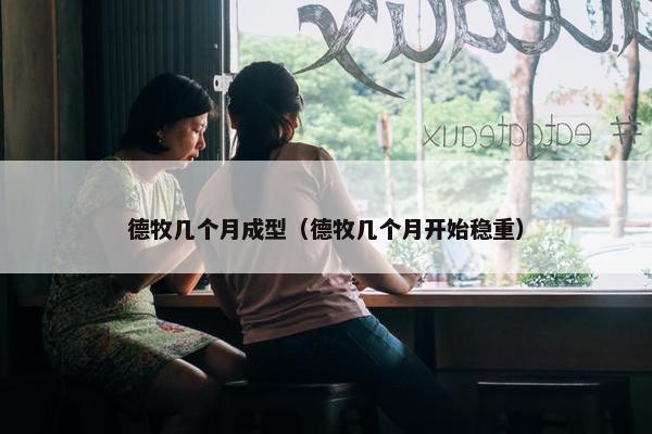 德牧几个月成型（德牧几个月开始稳重）