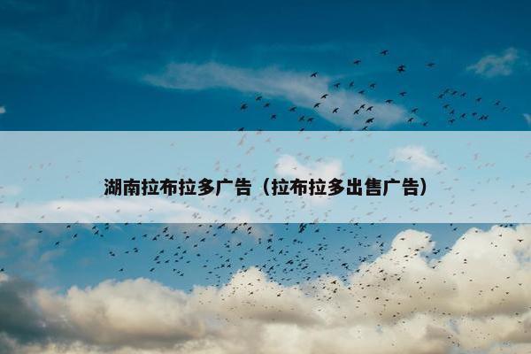 湖南拉布拉多广告（拉布拉多出售广告）