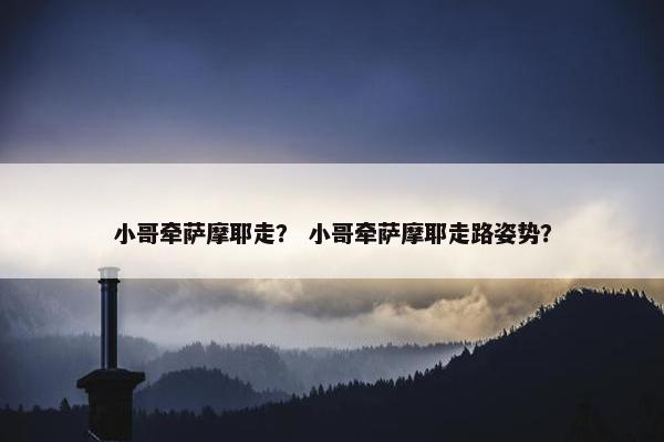小哥牵萨摩耶走？ 小哥牵萨摩耶走路姿势？