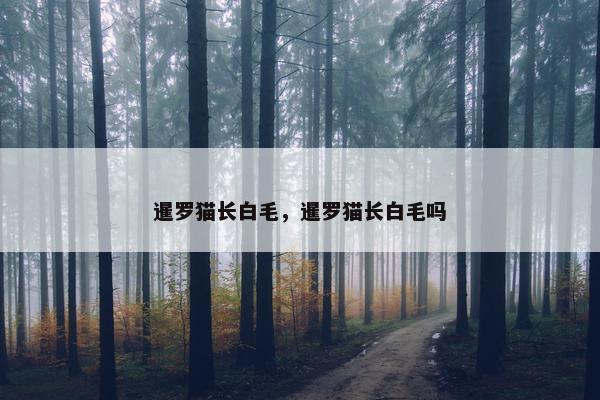暹罗猫长白毛，暹罗猫长白毛吗