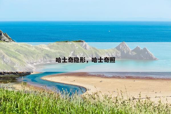 哈士奇隐形，哈士奇照