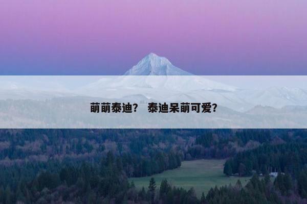 萌萌泰迪？ 泰迪呆萌可爱？