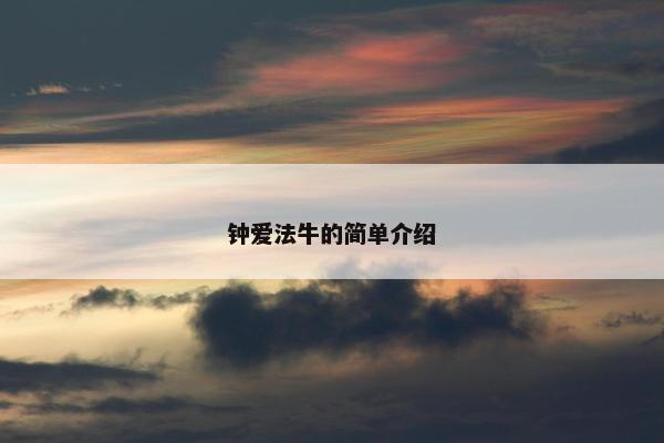 钟爱法牛的简单介绍