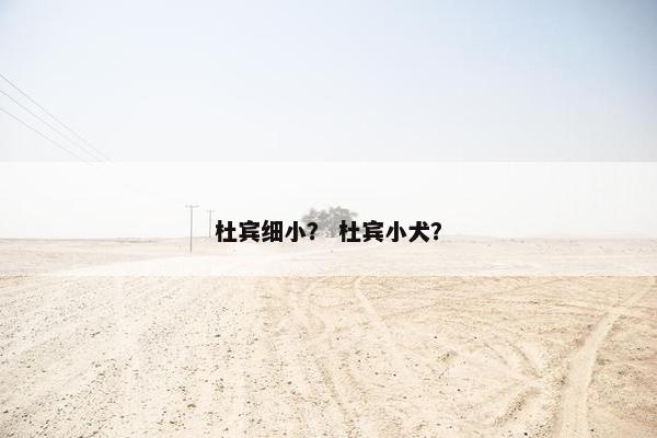 杜宾细小？ 杜宾小犬？
