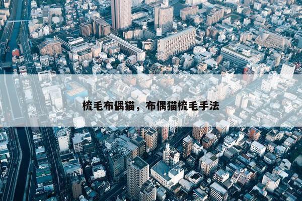 梳毛布偶猫，布偶猫梳毛手法