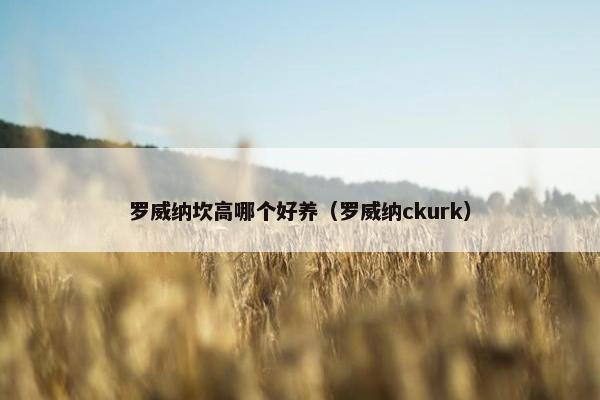 罗威纳坎高哪个好养（罗威纳ckurk）