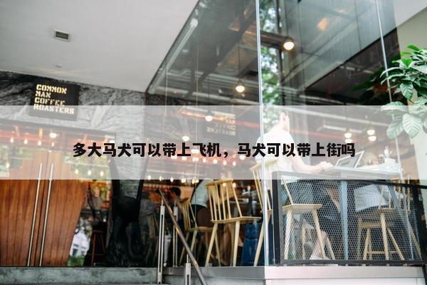 多大马犬可以带上飞机，马犬可以带上街吗