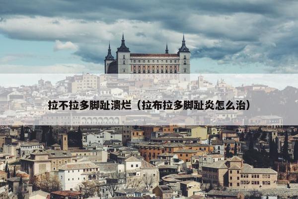 拉不拉多脚趾溃烂（拉布拉多脚趾炎怎么治）