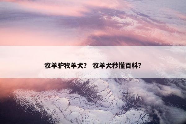 牧羊驴牧羊犬？ 牧羊犬秒懂百科？