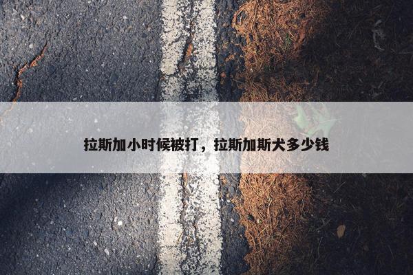 拉斯加小时候被打，拉斯加斯犬多少钱