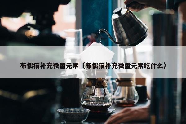 布偶猫补充微量元素（布偶猫补充微量元素吃什么）