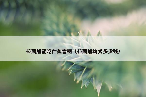 拉斯加能吃什么雪糕（拉斯加幼犬多少钱）