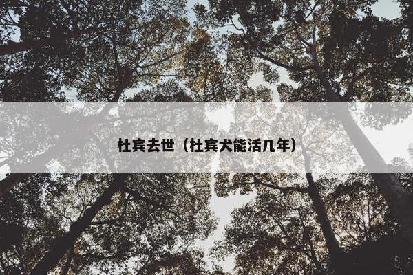 杜宾去世（杜宾犬能活几年）