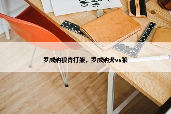 罗威纳狼青打架，罗威纳犬vs狼