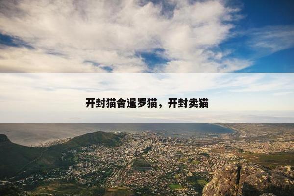 开封猫舍暹罗猫，开封卖猫