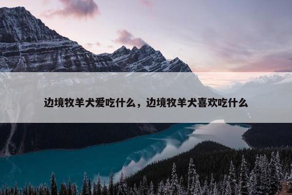 边境牧羊犬爱吃什么，边境牧羊犬喜欢吃什么