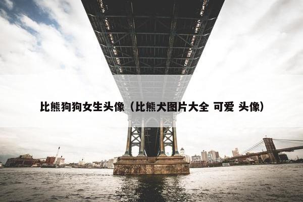 比熊狗狗女生头像（比熊犬图片大全 可爱 头像）