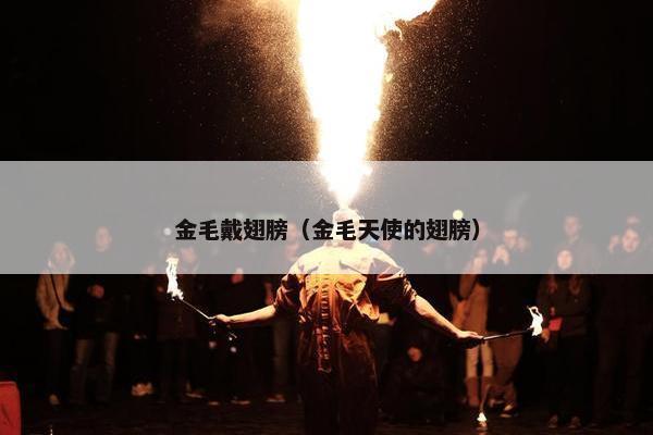 金毛戴翅膀（金毛天使的翅膀）