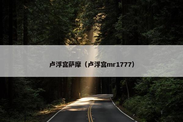 卢浮宫萨摩（卢浮宫mr1777）
