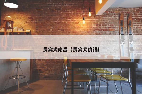 贵宾犬南昌（贵宾犬价钱）