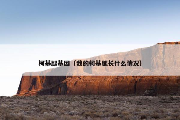 柯基腿基因（我的柯基腿长什么情况）