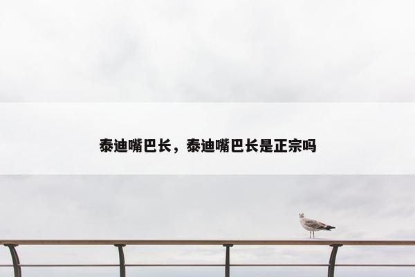 泰迪嘴巴长，泰迪嘴巴长是正宗吗
