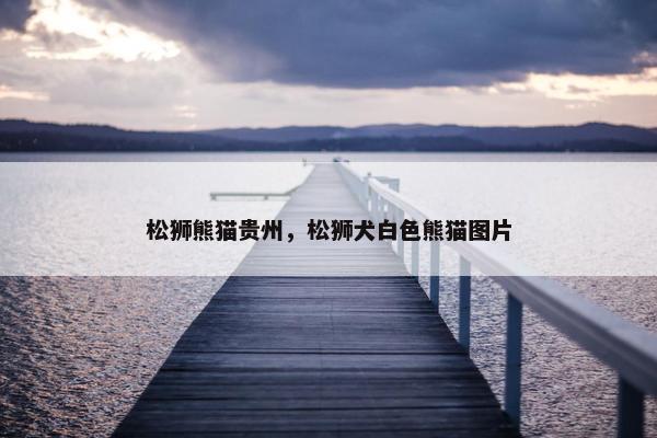 松狮熊猫贵州，松狮犬白色熊猫图片